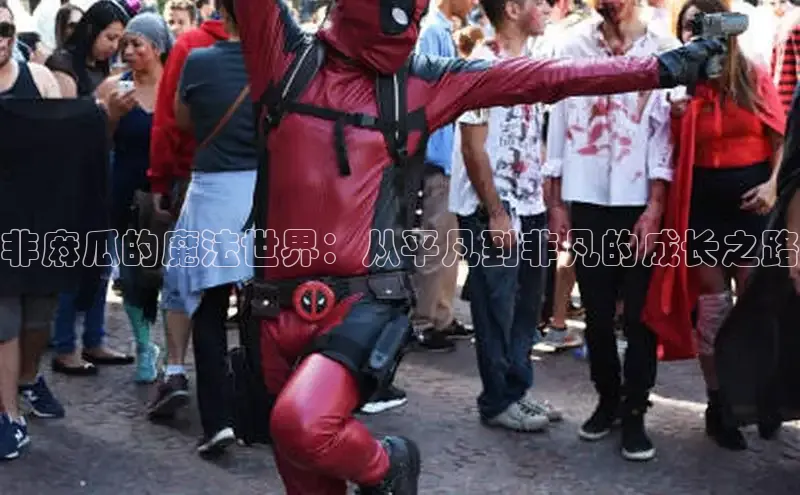 非麻瓜的魔法世界：从平凡到非凡的成长之路